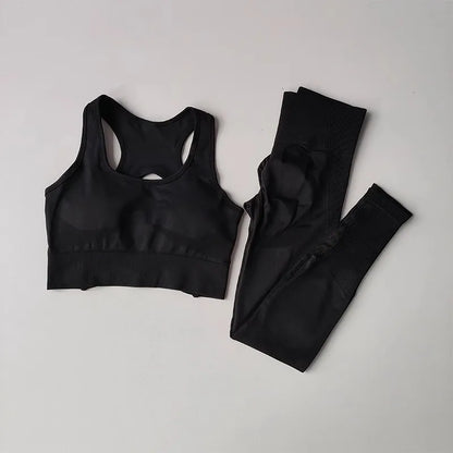 Sculpted Performance Seamless Tracksuit